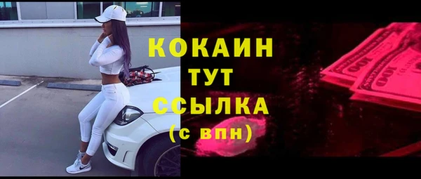 соль ск Абаза