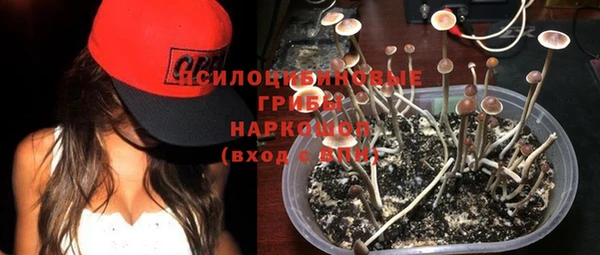 соль ск Абаза