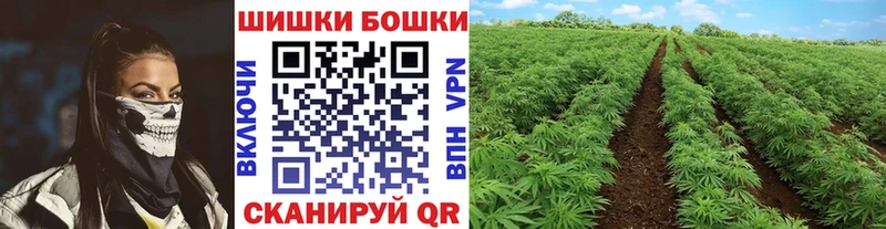 купить закладку  Новосибирск  blacksprut как зайти  Бошки Шишки ГИДРОПОН 
